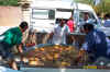 84paella.jpg (40383 bytes)