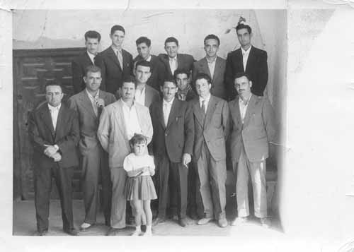 ant1