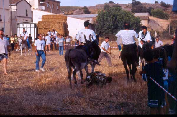 Fiestas 1996 (7)